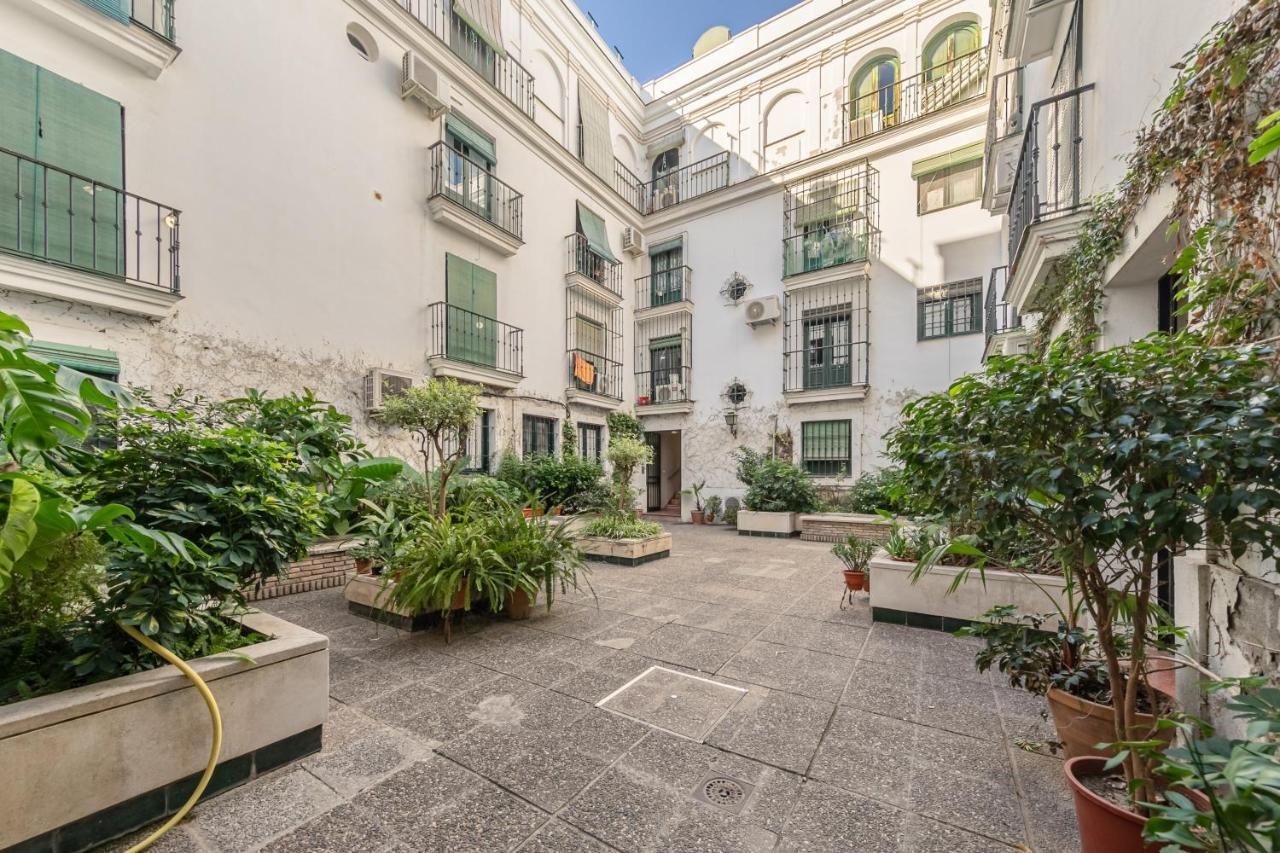 Sevillahome San Roque - Plaza Del Museo Séville